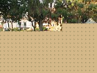 Click image for larger version

Name:	GIURIA1.jpg
Views:	88
Size:	164.5 KB
ID:	15871727