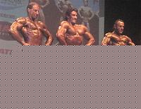 Click image for larger version

Name:	Cat. HP-178  Conf. (24).jpg
Views:	532
Size:	185.8 KB
ID:	15871741