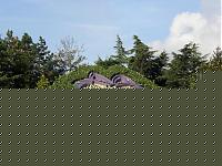Click image for larger version

Name:	gatto.jpg
Views:	54
Size:	111.9 KB
ID:	15871793