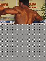 Click image for larger version

Name:	Cat.HP Massimi  class. Guido Francesco (1).jpg
Views:	86
Size:	99.9 KB
ID:	15871835