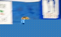 Click image for larger version

Name:	Cat.Miss Shape I°L.jpg
Views:	74
Size:	43.3 KB
ID:	15871843