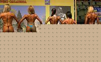 Click image for larger version

Name:	Cat.Shape Conf. (9).jpg
Views:	1421
Size:	8.7 KB
ID:	15871876