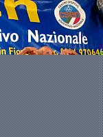 Click image for larger version

Name:	Cat.Over Biagio Filizola (2).jpg
Views:	95
Size:	67.1 KB
ID:	15871906