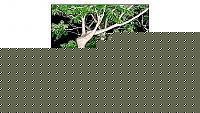 Click image for larger version

Name:	esterne241323392408133146_big.jpg
Views:	1697
Size:	35.6 KB
ID:	15872376