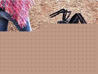 Click image for larger version

Name:	carlino-ragno.jpg
Views:	64
Size:	172.5 KB
ID:	15872552