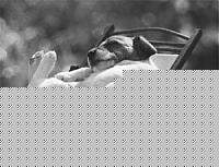 Click image for larger version

Name:	sonno.jpg
Views:	51
Size:	13.9 KB
ID:	15872553