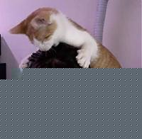 Click image for larger version

Name:	Foto-2.jpg
Views:	140
Size:	9.0 KB
ID:	15872877