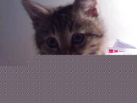 Click image for larger version

Name:	07012007342.jpg
Views:	44
Size:	37.7 KB
ID:	15872908