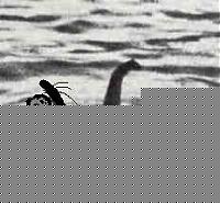 Click image for larger version

Name:	lochness.jpg
Views:	107
Size:	10.1 KB
ID:	15872928