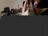 Click image for larger version

Name:	Photo 16.jpg
Views:	131
Size:	80.2 KB
ID:	15872982