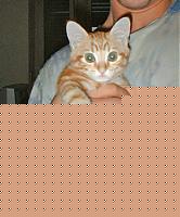 Click image for larger version

Name:	rougeeee.jpg
Views:	494
Size:	76.3 KB
ID:	15873152