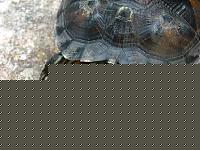 Click image for larger version

Name:	DSCF2573.JPG
Views:	120
Size:	70.0 KB
ID:	15873154