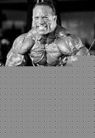 Click image for larger version

Name:	Dave_Palumbo_Bodybuilder_7_ezr.jpg
Views:	196
Size:	21.4 KB
ID:	15873164