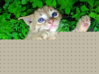 Click image for larger version

Name:	P5270074.jpg
Views:	273
Size:	89.6 KB
ID:	15874690