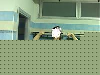 Click image for larger version

Name:	10012008621.jpg
Views:	208
Size:	62.9 KB
ID:	15874694
