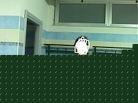 Click image for larger version

Name:	10012008622.jpg
Views:	257
Size:	62.9 KB
ID:	15874695