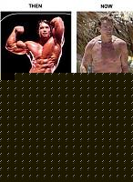 Click image for larger version

Name:	arnold_schwarzenegger_fat.jpg
Views:	665
Size:	28.5 KB
ID:	15874701