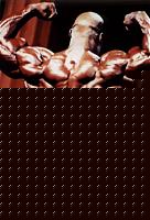 Click image for larger version

Name:	1998_04LG.jpg
Views:	70
Size:	26.4 KB
ID:	15874835