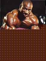 Click image for larger version

Name:	Dexter Jackson.jpg
Views:	228
Size:	66.5 KB
ID:	15874837