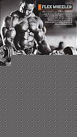 Click image for larger version

Name:	Flex Wheeler.jpg
Views:	285
Size:	63.3 KB
ID:	15874838