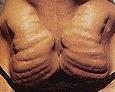 Click image for larger version

Name:	rippedass.JPG
Views:	117
Size:	3.6 KB
ID:	15874895