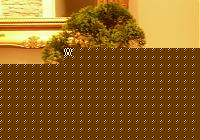 Click image for larger version

Name:	bonsai2.jpg
Views:	92
Size:	63.5 KB
ID:	15874901