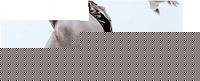 Click image for larger version

Name:	Immagine.JPG
Views:	53
Size:	8.4 KB
ID:	15874906