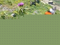 Click image for larger version

Name:	grecia aprile 2006 573.jpg
Views:	36
Size:	124.9 KB
ID:	15874989