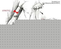 Click image for larger version

Name:	mastromarino_braccia_01.jpg
Views:	128
Size:	36.4 KB
ID:	15875025
