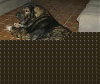 Click image for larger version

Name:	hpim1415er.jpg
Views:	46
Size:	179.8 KB
ID:	15875111