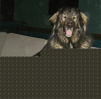 Click image for larger version

Name:	hpim1456uu.jpg
Views:	118
Size:	153.5 KB
ID:	15875113