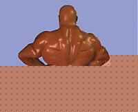 Click image for larger version

Name:	Senza nome-True Color-01.jpg
Views:	1543
Size:	12.1 KB
ID:	15875267