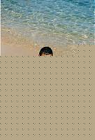 Click image for larger version

Name:	Io profilo incredibile!!!.jpg
Views:	78
Size:	84.4 KB
ID:	15875278