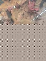 Click image for larger version

Name:	20-02-08_2037.jpg
Views:	63
Size:	187.1 KB
ID:	15875368