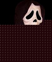Click image for larger version

Name:	scream.jpg
Views:	62
Size:	7.1 KB
ID:	15875959