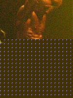 Click image for larger version

Name:	Cat. HP+178 II° Caiolo Pasquale (13).jpg
Views:	109
Size:	199.2 KB
ID:	15876017