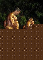 Click image for larger version

Name:	Cat.Assoluto Overall Men Bodybuilding conf.3.jpg
Views:	495
Size:	101.2 KB
ID:	15876025