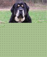 Click image for larger version

Name:	novinky2.jpg
Views:	46
Size:	88.3 KB
ID:	15876094