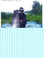 Click image for larger version

Name:	Immagini%20centro%20robert.jpg
Views:	624
Size:	83.6 KB
ID:	15876141