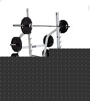 Click image for larger version

Name:	thumb.HAMMERSTRENGTH-OlympicSquatRack.jpg
Views:	95
Size:	10.4 KB
ID:	15876458
