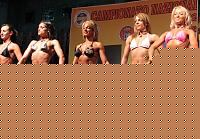 Click image for larger version

Name:	Cat.Fashion Conf. (8).jpg
Views:	1135
Size:	192.1 KB
ID:	15879117