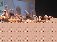 Click image for larger version

Name:	Cat. HP+ 178 Conf. (23).jpg
Views:	570
Size:	76.1 KB
ID:	15879210