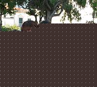 Click image for larger version

Name:	Attorno (74).JPG
Views:	158
Size:	217.5 KB
ID:	15879263