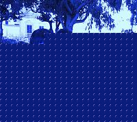 Click image for larger version

Name:	Copia di Attorno (74).JPG
Views:	104
Size:	234.3 KB
ID:	15879264