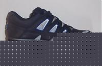 Click image for larger version

Name:	250px-Platform_trainer_Buffalo_white-blue.jpg
Views:	85
Size:	7.2 KB
ID:	15879317
