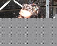 Click image for larger version

Name:	Attorno (9).JPG
Views:	124
Size:	140.6 KB
ID:	15879390