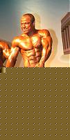 Click image for larger version

Name:	Cat. SMALL  Class V° Gianluca Berdini (1).jpg
Views:	78
Size:	65.3 KB
ID:	15879820