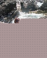 Click image for larger version

Name:	Photo Ricordo x Florio Paola (1).JPG
Views:	107
Size:	219.7 KB
ID:	15879876