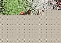 Click image for larger version

Name:	coppaitalia2008.jpg
Views:	96
Size:	60.6 KB
ID:	15879885