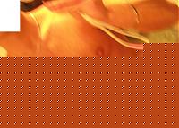 Click image for larger version

Name:	0502.jpg
Views:	104
Size:	65.2 KB
ID:	15879893
